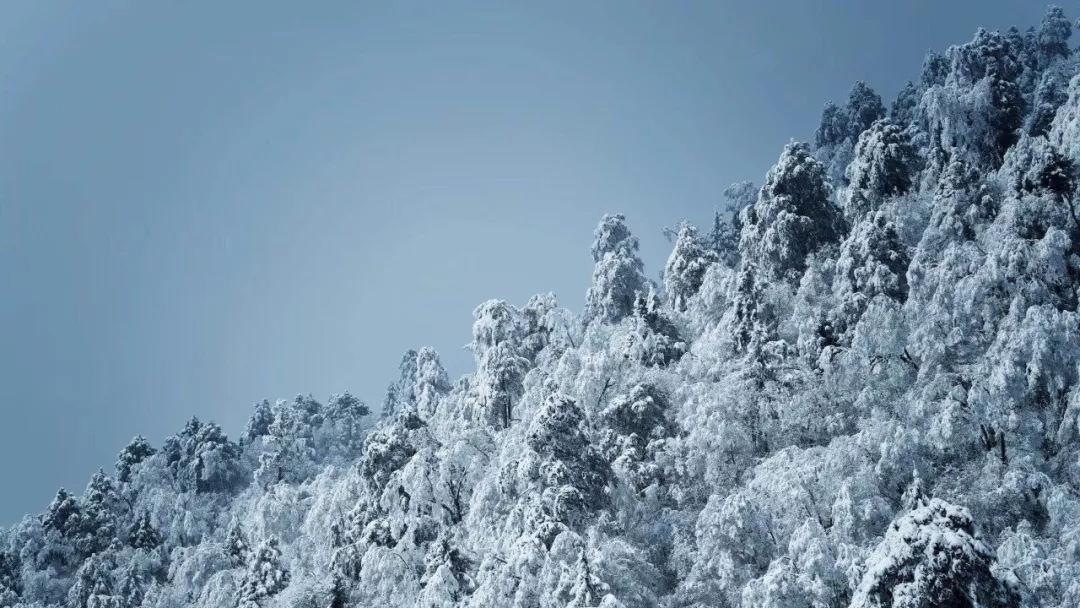 探索为什么螺蛳粉这么容易上瘾?星球,开启无限知识之旅
